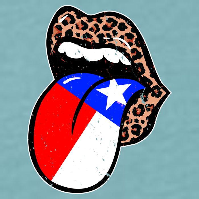 Leopard Print Lips with American Flag Sueded Cloud Jersey T-Shirt