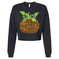 Leopard Print Pumpkin Cropped Pullover Crew