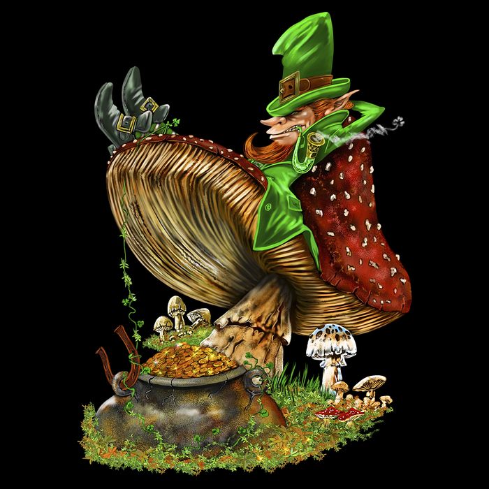 Leprechaun Mushroom Bucket Hat