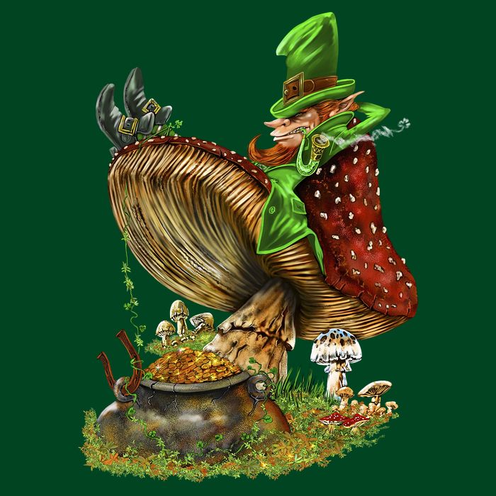Leprechaun Mushroom Premium T-Shirt