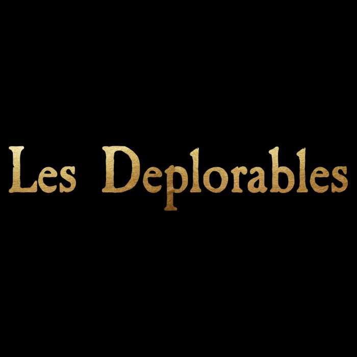 Les Deplorables USA Donald Trump 2016 16 in Basic Backpack