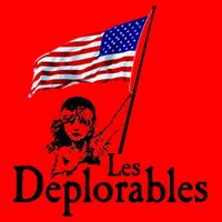 Les Deplorables USA Flag Parody Vote Trump 2016 Women's V-Neck T-Shirt