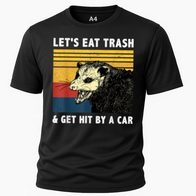 Let's Eat Trash & Get Hit By A Car Opossum Vintage Performance Shirt