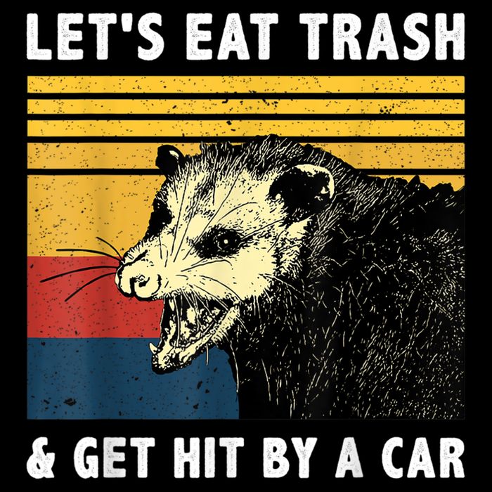 Let's Eat Trash & Get Hit By A Car Opossum Vintage Bucket Hat