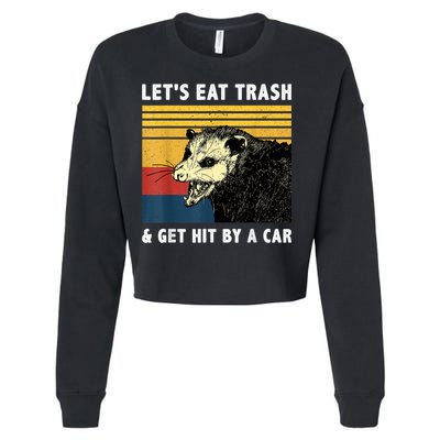 Let's Eat Trash & Get Hit By A Car Opossum Vintage Cropped Pullover Crew