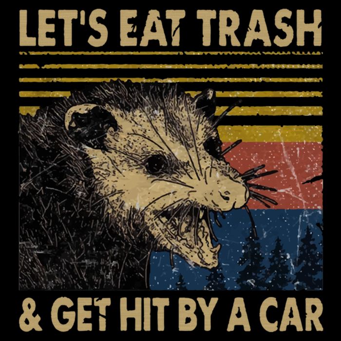 Lets Eat Trash And Get Hit By A Car Gift Vintage Opossum Gift Mug