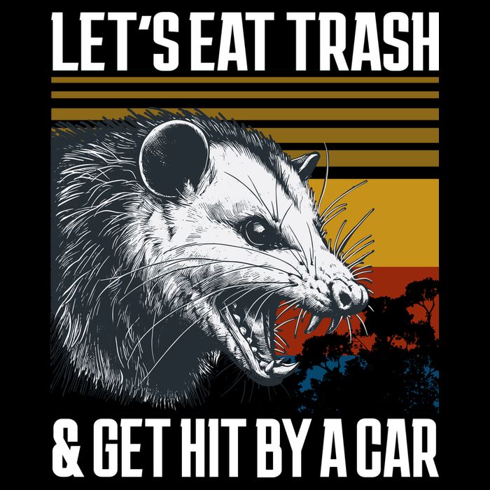 LetS Eat Trash Get Hit By A Car Possum 7-Panel Snapback Hat