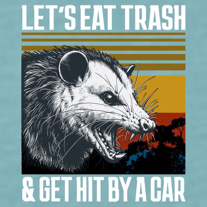 LetS Eat Trash Get Hit By A Car Possum Sueded Cloud Jersey T-Shirt