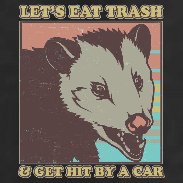 Let's Eat Trash And Get Hit By A Car Opossum Trucker Hat