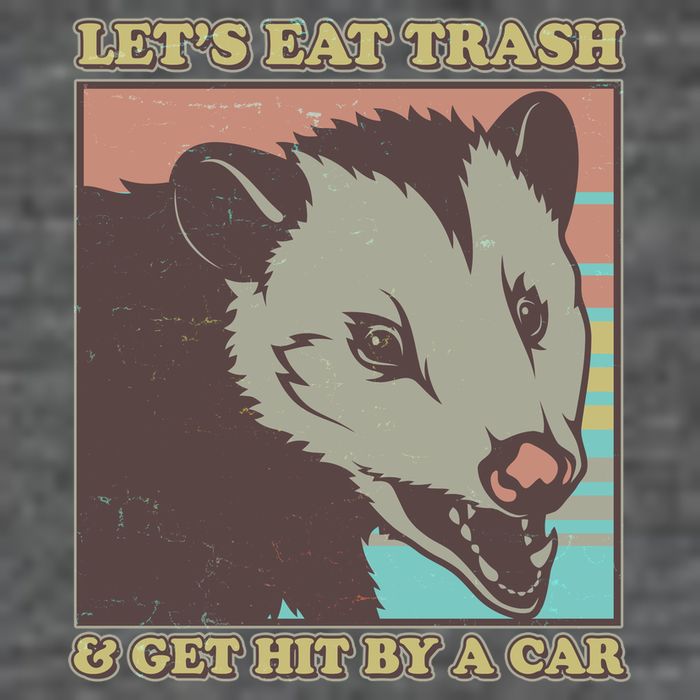 Let's Eat Trash And Get Hit By A Car Opossum 7-Panel Snapback Hat