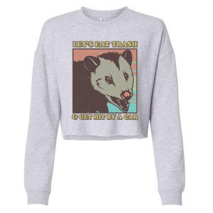 Let's Eat Trash And Get Hit By A Car Opossum Cropped Pullover Crew