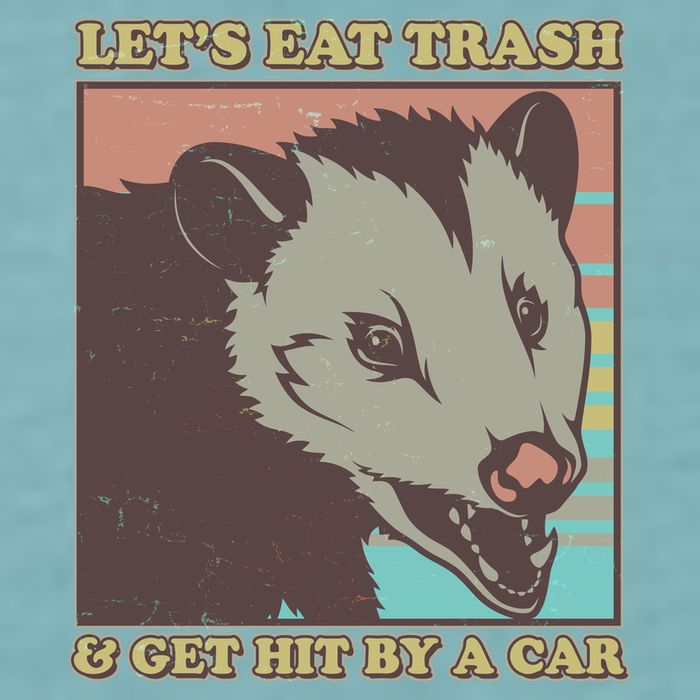 Let's Eat Trash And Get Hit By A Car Opossum Sueded Cloud Jersey T-Shirt