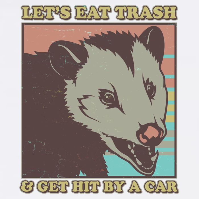 Let's Eat Trash And Get Hit By A Car Opossum Garment-Dyed Sweatshirt