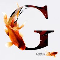 Letter G is for Goldfish Cooling Performance Crew T-Shirt