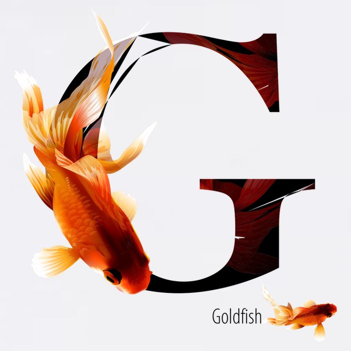 Letter G is for Goldfish Cooling Performance Crew T-Shirt