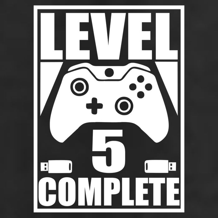 Level 5 Complete Video Gamer 5th Birthday Adult Drive Performance Visor