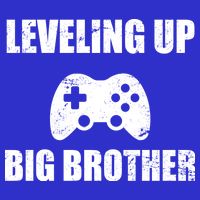 Leveling Up Big Brother Bag