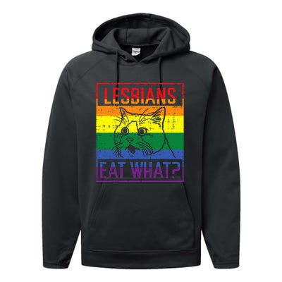 Lesbians Eat What Cat Funny Humor Pun Lgbtq Pride Flag Performance Fleece Hoodie