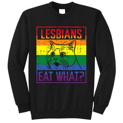 Lesbians Eat What Cat Funny Humor Pun Lgbtq Pride Flag Sweatshirt