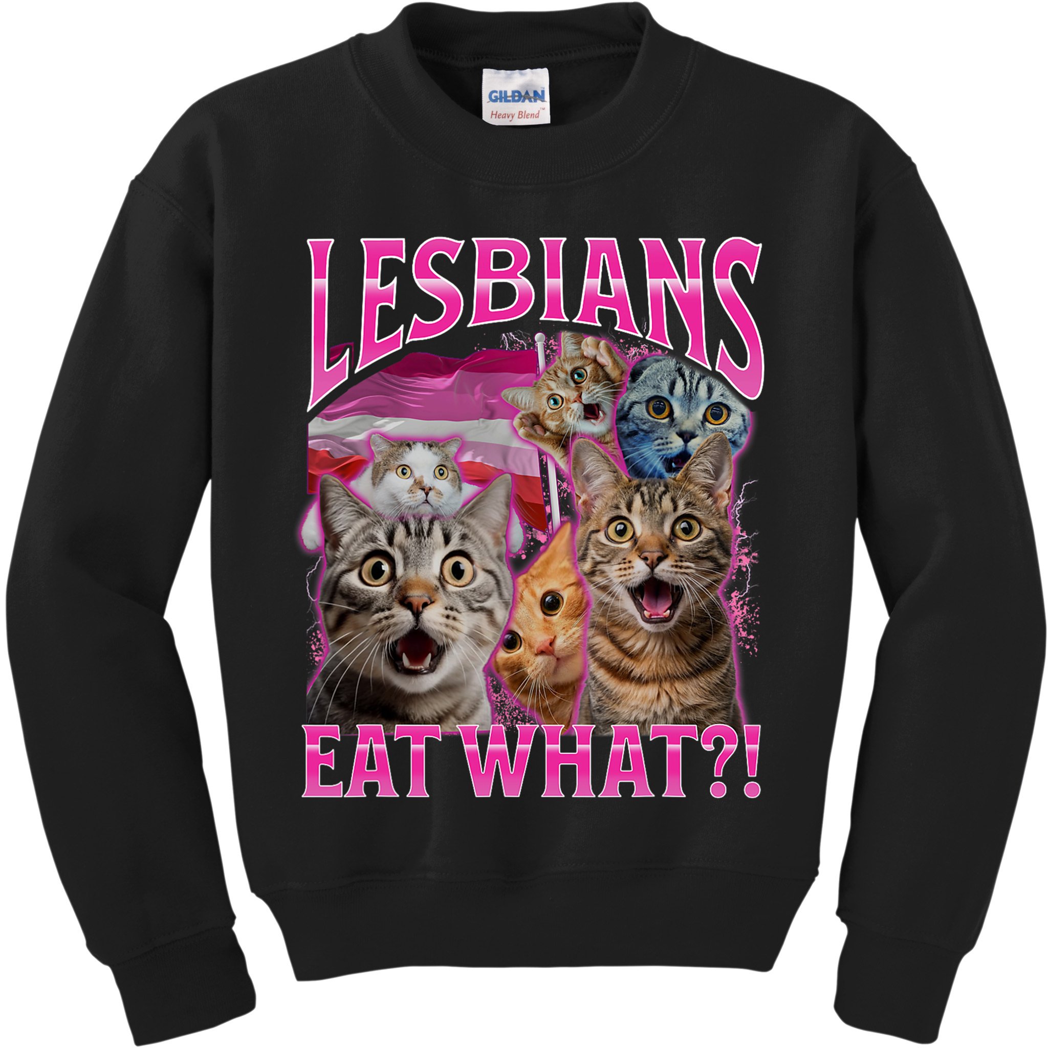 Lesbians Eat What Funny Offensive Cat Bootleg Sarcastic Kids Sweatshirt