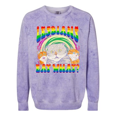 Lesbians Eat What Cat National Coming Out Day LGBQ Pride Colorblast Crewneck Sweatshirt