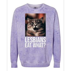 Lesbians Eat What Funny Cat Meme Colorblast Crewneck Sweatshirt