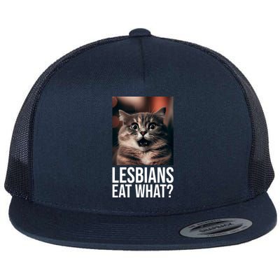 Lesbians Eat What Funny Cat Meme Flat Bill Trucker Hat