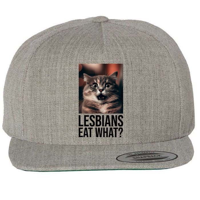 Lesbians Eat What Funny Cat Meme Wool Snapback Cap