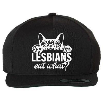 Lesbians Eat What Lgbtq Cat Gift Wool Snapback Cap