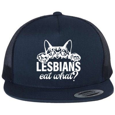 Lesbians Eat What Lgbtq Cat Gift Flat Bill Trucker Hat