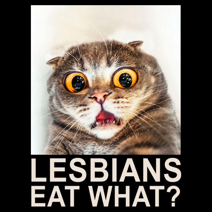 Lesbians Eat What Funny Cat City Backpack