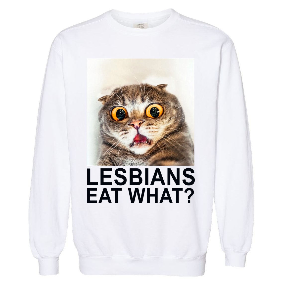 Lesbians Eat What Funny Cat Garment-Dyed Sweatshirt