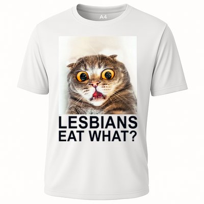 Lesbians Eat What Funny Cat Performance Shirt