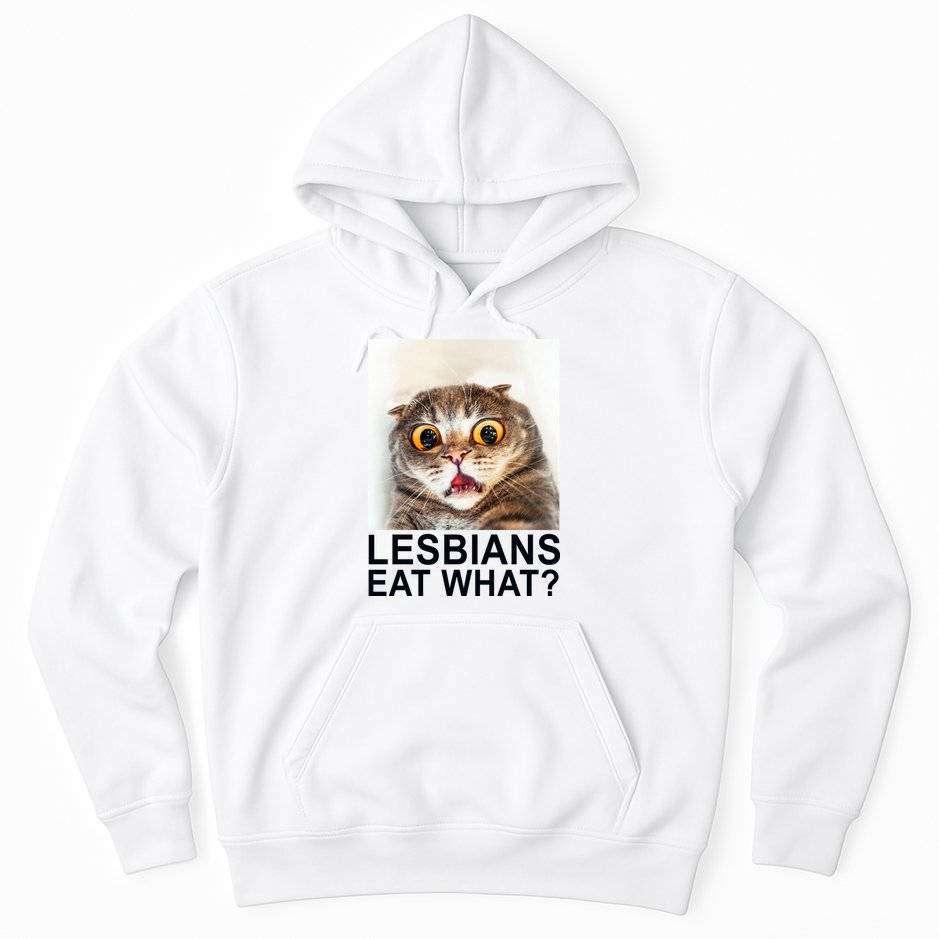 Lesbians Eat What Funny Cat Hoodie