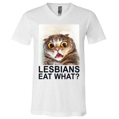 Lesbians Eat What Funny Cat V-Neck T-Shirt