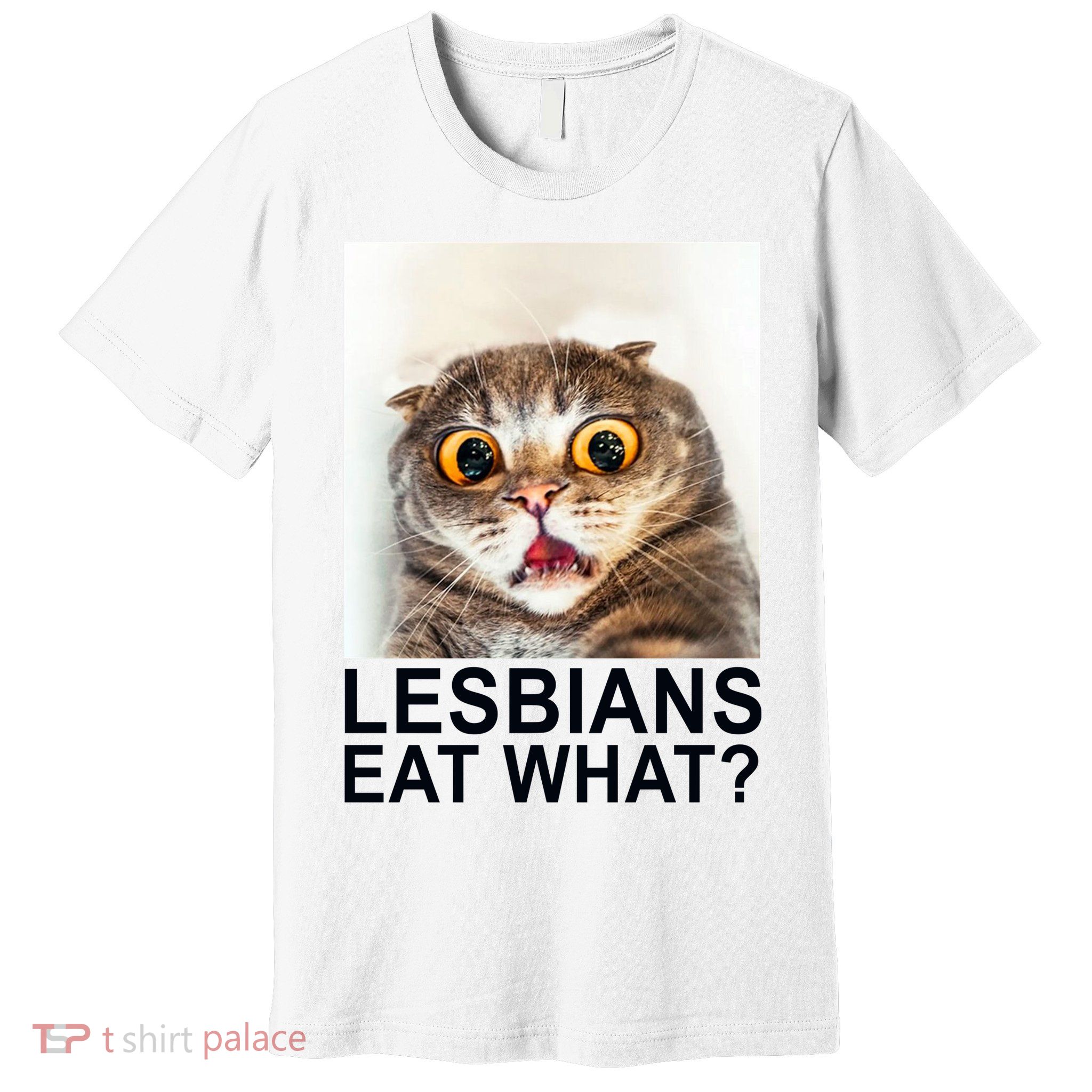 Lesbians Eat What Funny Cat Premium T-Shirt