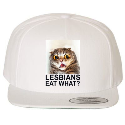 Lesbians Eat What Funny Cat Wool Snapback Cap