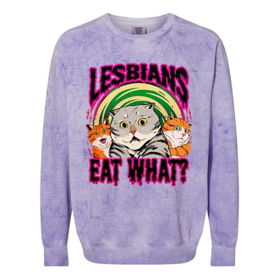 Lesbians Eat What Funny Cats Love Cute Women Boy Colorblast Crewneck Sweatshirt