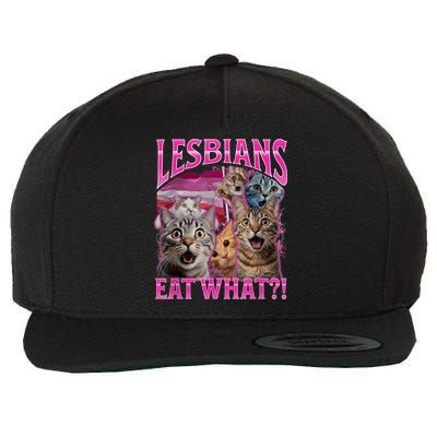 Lesbians Eat What Funny Offensive Cat Bootleg Sarcastic Wool Snapback Cap