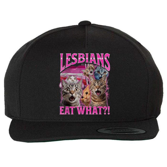 Lesbians Eat What Funny Offensive Cat Bootleg Sarcastic Wool Snapback Cap