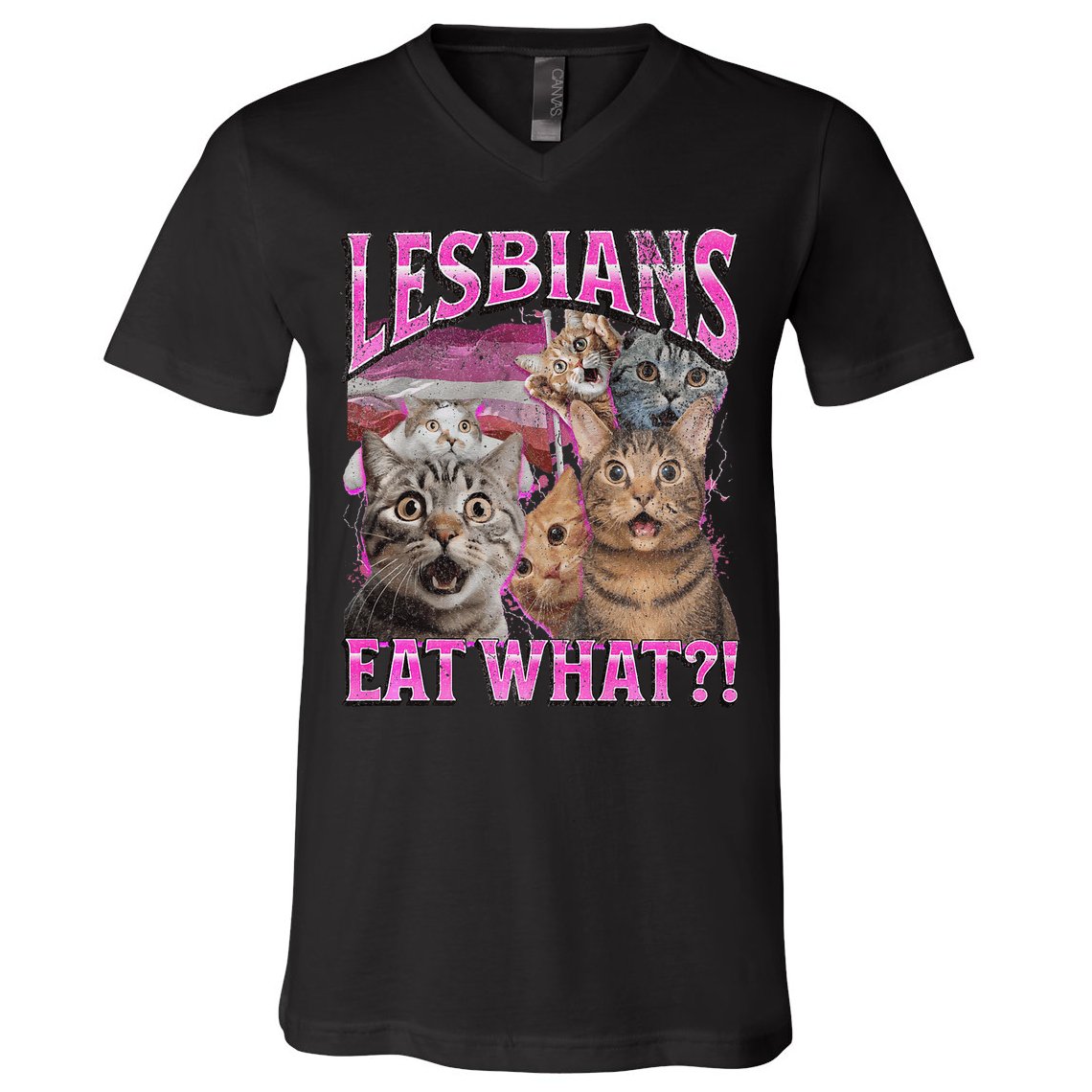 Lesbians Eat What! Funny Cat Lgbtq Pun Bootleg Gift V-Neck T-Shirt
