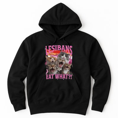 Lesbians Eat What Funny Offensive Cat Unhinged 90s Meme Hoodie