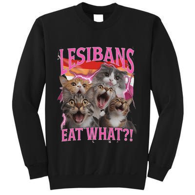 Lesbians Eat What Funny Offensive Cat Unhinged 90s Meme Sweatshirt