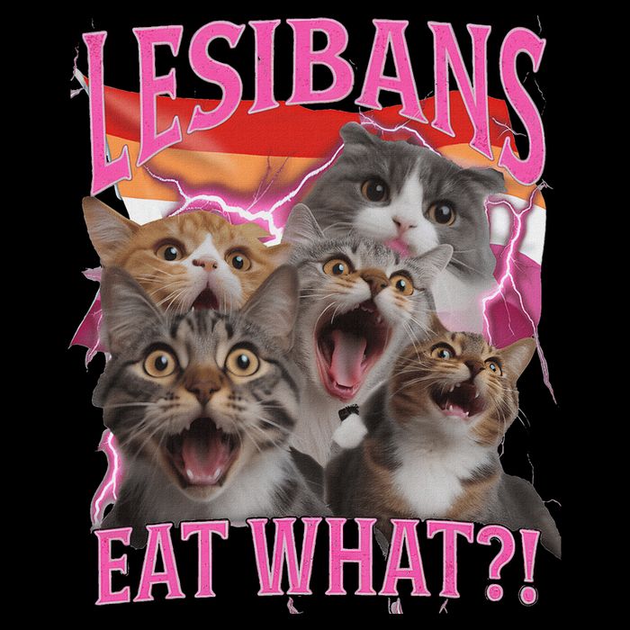 Lesbians Eat What Funny Offensive Cat Unhinged 90s Meme 16 in Basic Backpack