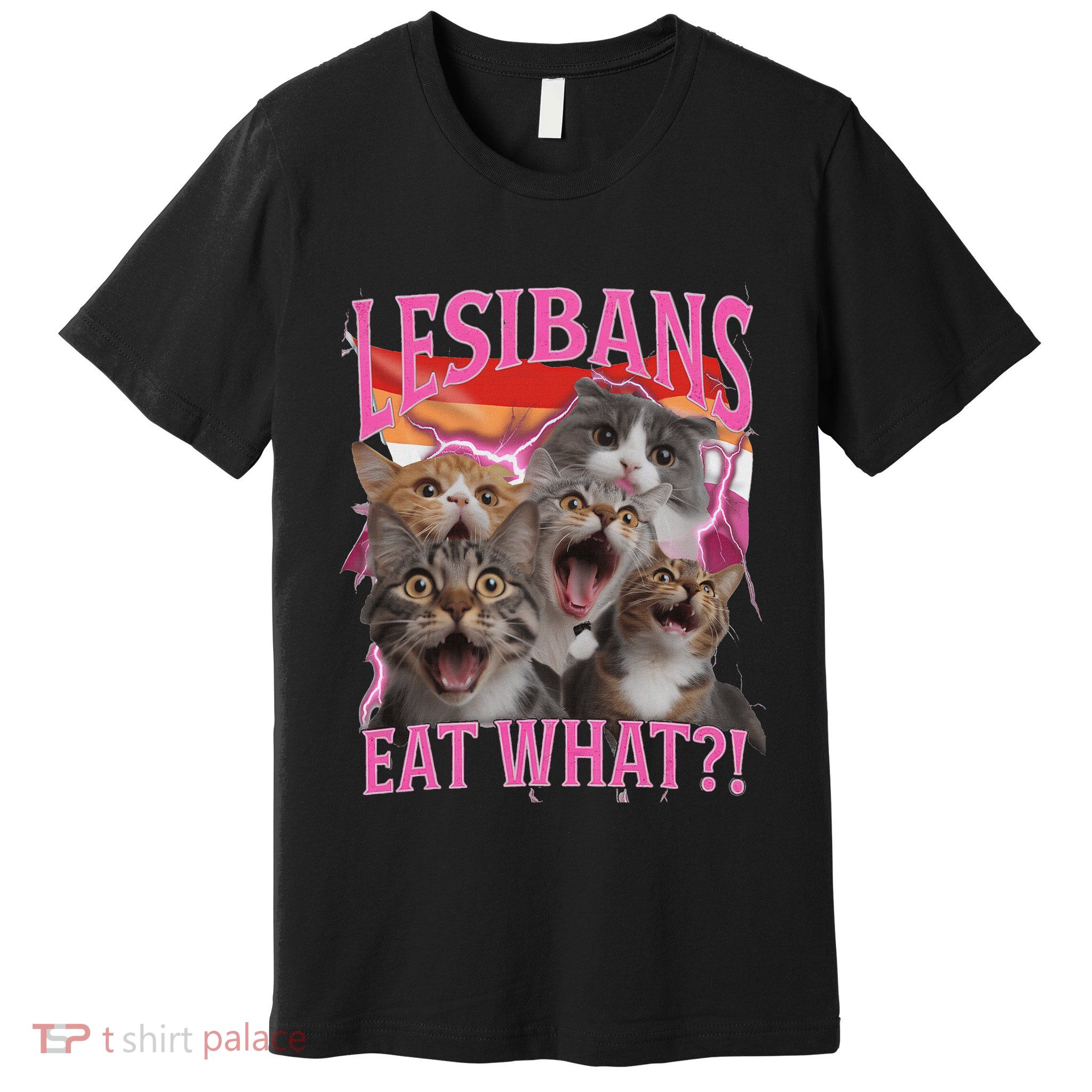 Lesbians Eat What Funny Offensive Cat Unhinged 90s Meme Premium T-Shirt