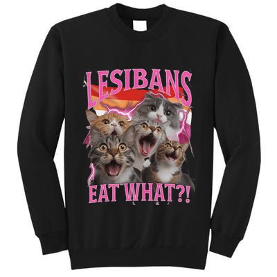 Lesbians Eat What Funny Offensive Cat Unhinged 90s Meme Tall Sweatshirt