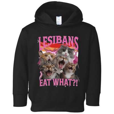 Lesbians Eat What Funny Offensive Cat Unhinged 90s Meme Toddler Hoodie