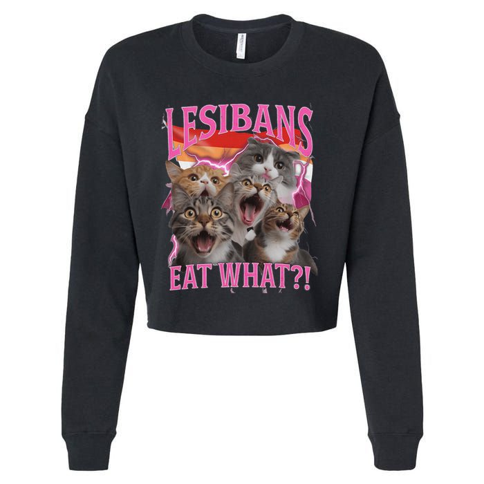 Lesbians Eat What Funny Offensive Cat Unhinged 90s Meme Cropped Pullover Crew