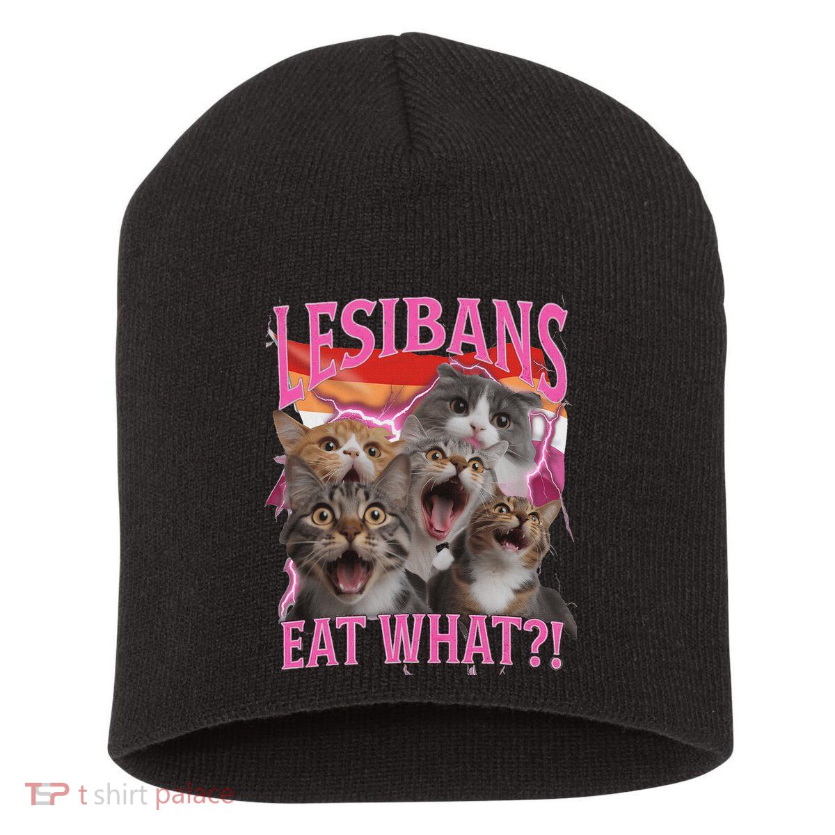 Lesbians Eat What Funny Offensive Cat Unhinged 90s Meme Short Acrylic Beanie