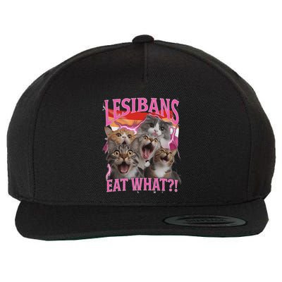 Lesbians Eat What Funny Offensive Cat Unhinged 90s Meme Wool Snapback Cap